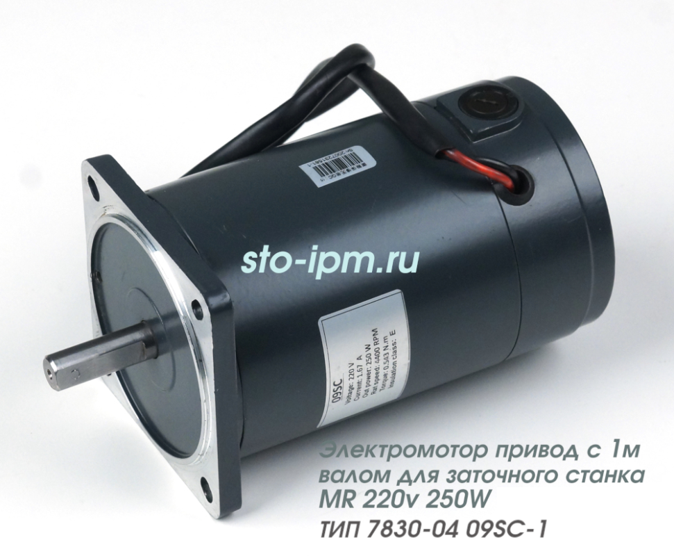 Мотор электрический станка заточного ТИП 7830-04 09SC-1